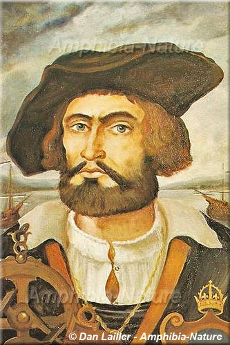 portrait Jacques Cartier par Théophile Hamel