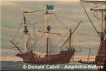 bateau dans la baie des Chaleurs