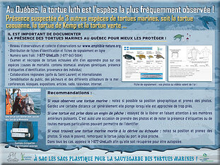 panneau1