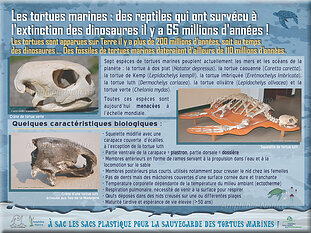 panneau1