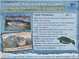 panneau1