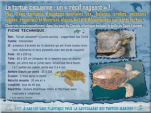 panneau1