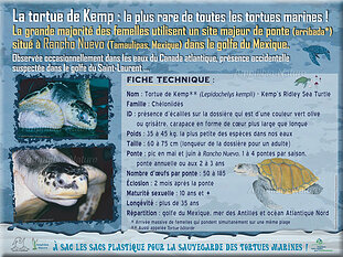 panneau1