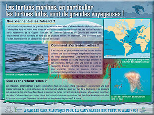 panneau1