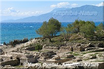 site arch�ologique de Komos