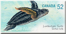 timbre postal tortue luth