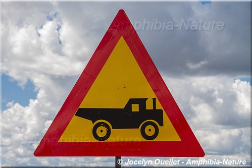 panneau 5 - camion, Namibie