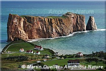 rocher de la ville de Percé