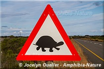 panneau de signalisation - tortue - Afrique du Sud
