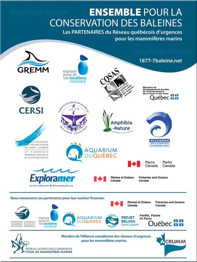 Réseau québécois d'urgences pour les mammifères marins