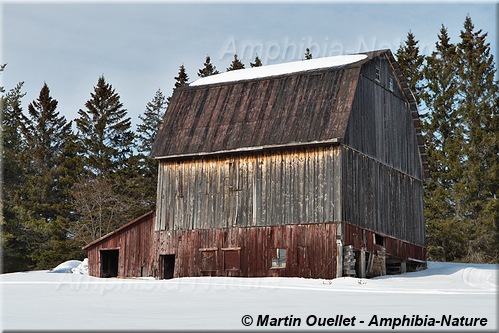 vieille grange en hiver