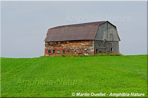 vieille grange en automne