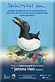 affiche du projet Saint-Laurant vivant - petit pingouin