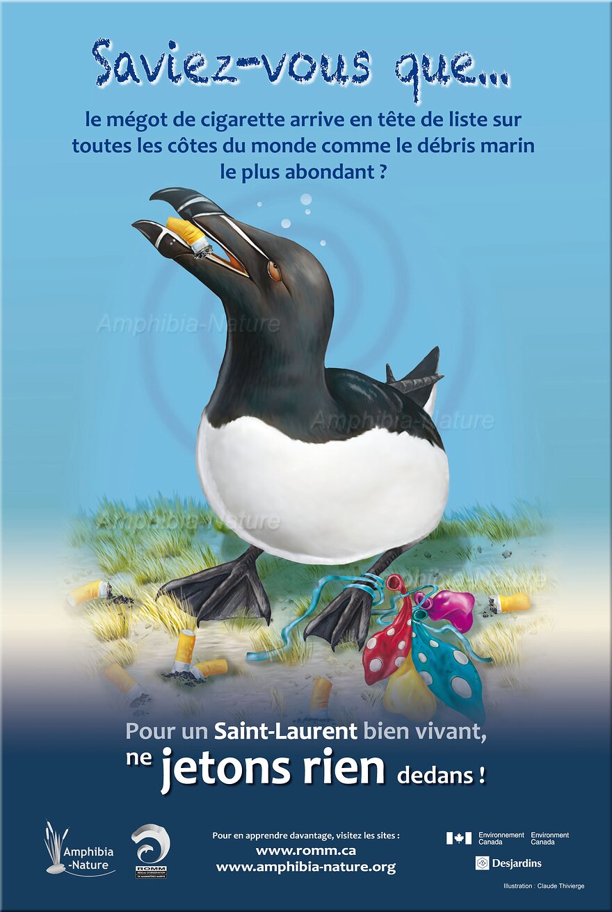 affiche du projet Saint-Laurant vivant - petit pingouin