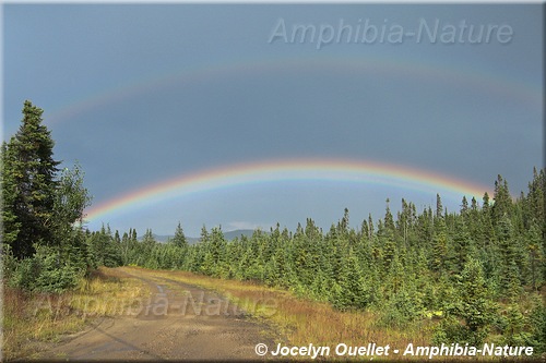 Arc-en-ciel - Parc des Laurentides