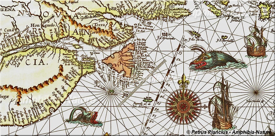 carte de Petrus Plancius vers 1592