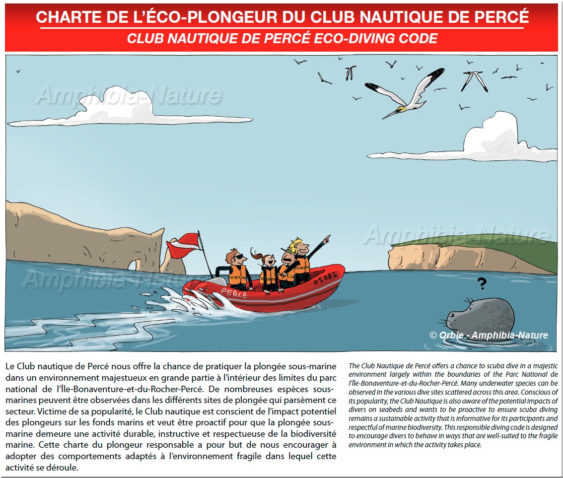 Le Club nautique de Percé nous offre la chance de pratiquer la plongée sous-marine dans un environnement majestueux en grande partie à l'intérieur des limites du parc national de l'Île-Bonaventure-et-du-Rocher-Percé. De nombreuses espèces sous-marines peuvent être observées dans les différents sites de plongée qui parsèment ce secteur. Victime de sa popularité, le Club nautique est conscient de l'impact potentiel des plongeurs sur les fonds marins et veut être proactif pour que la plongée sous-marine demeure une activité durable, instructive et respectueuse de la biodiversité marine. Cette charte du plongeur responsable a pour but de nous encourager à adopter des comportements adaptés à l'environnement fragile dans lequel cette activité se déroule. The Club Nautique de Percé offers a chance to scuba dive in a majestic environment largely within the boundaries of the Parc National de l'Île-Bonaventure-et-du-Rocher-Percé. Many underwater species can be observed in the various dive sites scattered across this area. Conscious of its popularity, the Club Nautique is also aware of the potential impacts of divers on seabeds and wants to be proactive to ensure scuba diving remains a sustainable activity that is informative for its participants and respectful of marine biodiversity. This responsible diving code is designed to encourage divers to behave in ways that are well-suited to the fragile environment in which the activity takes place.