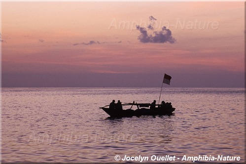 bateau au crépuscule