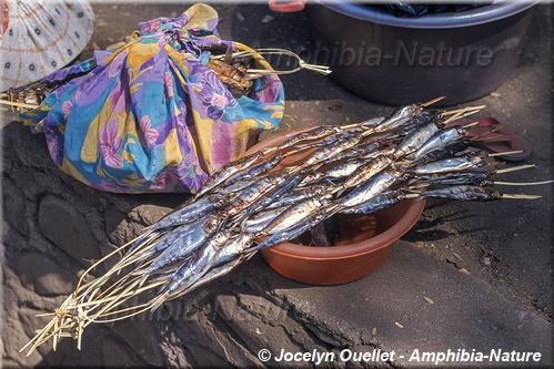 poissons séchés