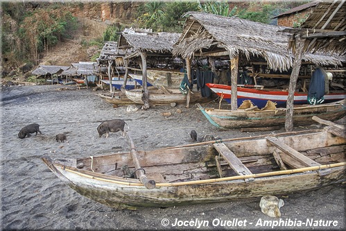 bateaux de pêche au village de Lamalera