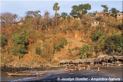 bateaux de pêche au village de Lamalera