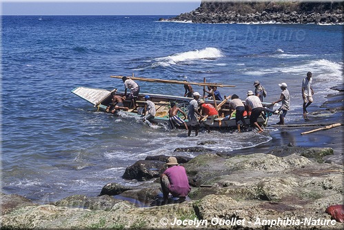 mise à l'eau - bateau de pêche - paledang