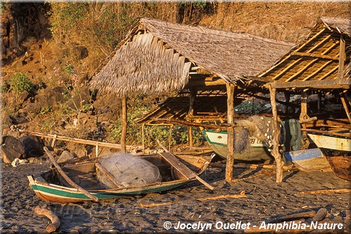 bateaux de pêche au village de Lamalera