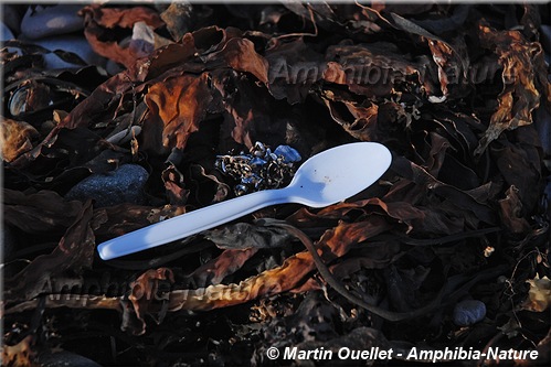 cuillère en plastique