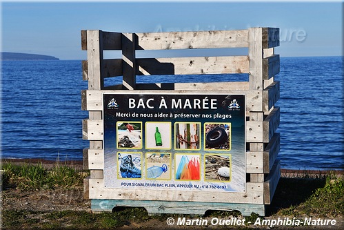 bac à marée