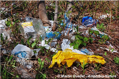 déchets en plastique