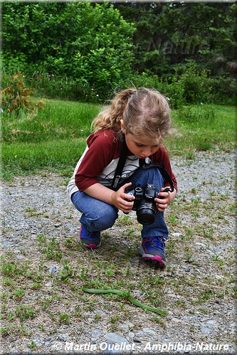 Un enfant photographiant une couleuvre verte