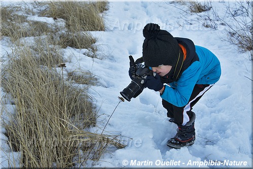 Un enfant photographiant une plante