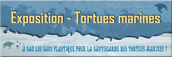 bannière d'une exposition sur les tortues marines