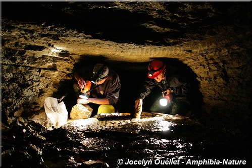 Fouille dans la grotte à la Patate, Anticosti