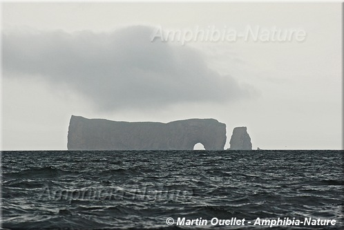 rocher Percé et l'Obélisque