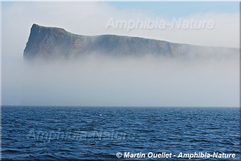 rocher Percé dans une nappe de brouillard