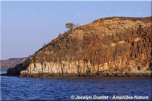 la côte de l'ile de Komodo