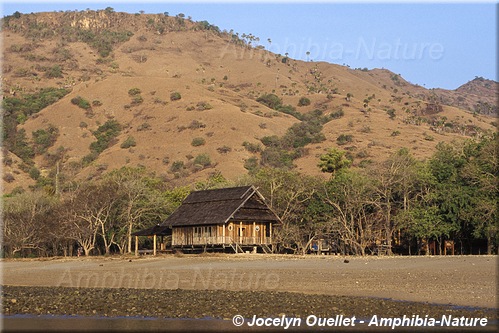 maison des rangers sur l'île de Komodo