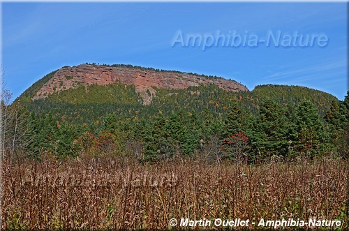 mont Sainte-Anne à Percé