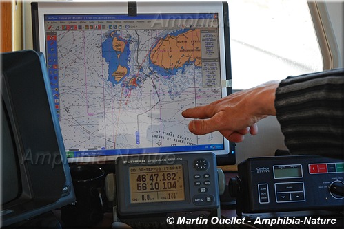 pêcheurs observant la mer