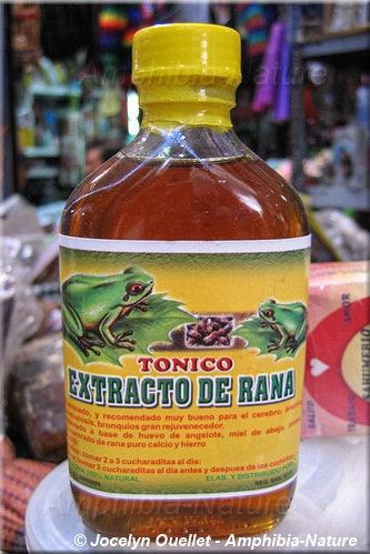 tonique - extrait de grenouille au marché - Peru