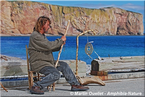 artisan local sur le quai de Percé