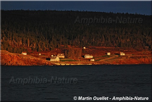 île Bonaventure au coucher du soleil