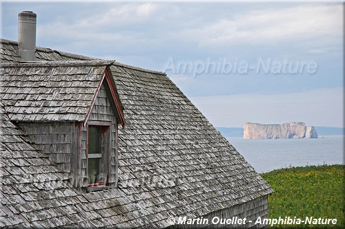 maison ancestrale - île Bonaventure