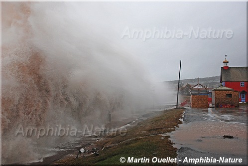 promenade de Percé durant une grande marée