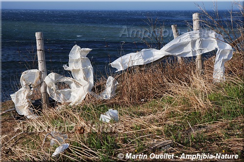 plastique de balles de foin