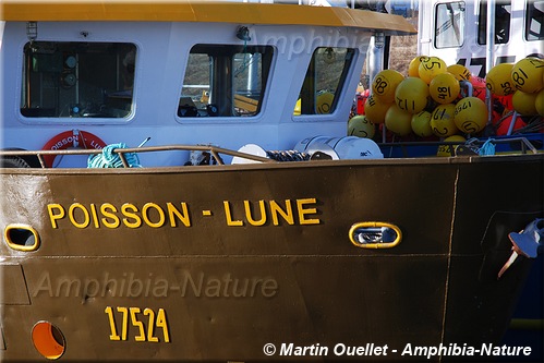 bateau nommé Poisson-Lune