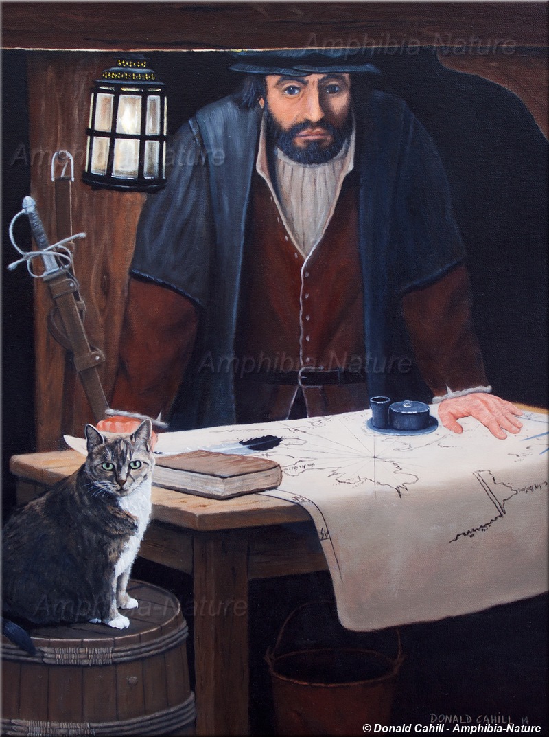 portrait Jacques Cartier par Donald Cahill