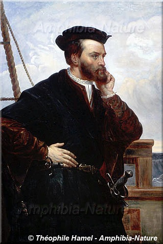 portrait Jacques Cartier par Dan Lailler