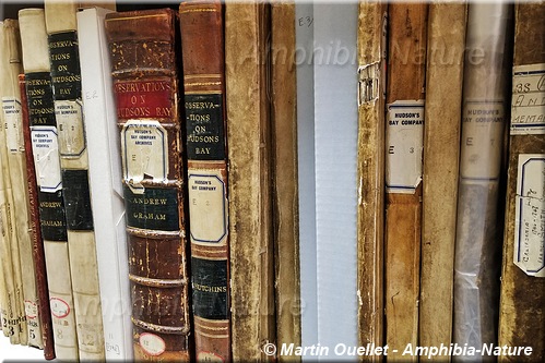 Anciens livres sur une étagère